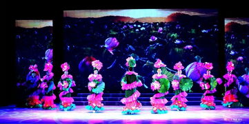 自貢市金秋藝術(shù)團六周年慶典原創(chuàng)文藝匯演圓滿落幕，彰顯本土創(chuàng)作與表演魅力